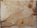 Autumn Leaves - Postcard Challenge December 2022