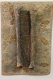 Nancy Conboy - South Group 2019 Fragments Exhibition