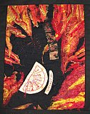 Janet Haley - South Group 2019 Fragments Exhibition