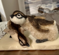 Sleeping Duckling - 3D Needle Felted Sculpture with Kate Taylor