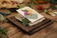 Eco Dyeing Mixed Media Workshop