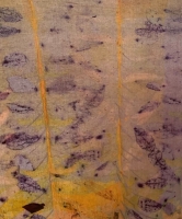 Taster - Eco-dyeing - One Day
